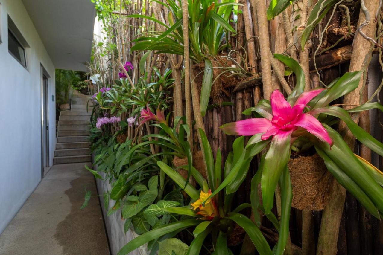 Anjali Casa Divina Hotel ซายูลิตา ภายนอก รูปภาพ